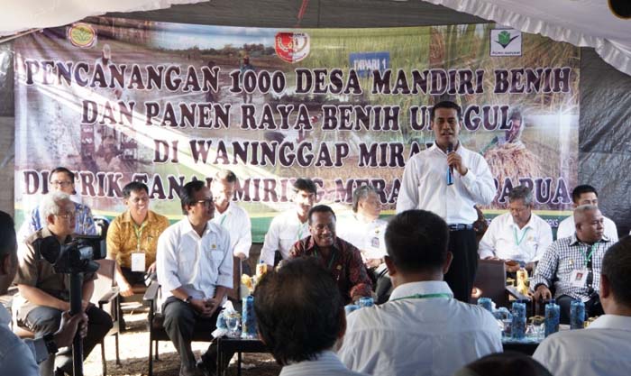 Mentan: Mandiri Benih Dorong Pencapaian Swasembada Pangan